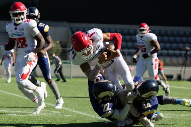 Firenze Red Lions running back Eystin Salum ( 1) carries the football as Alpine Rams defenders Lord Arday ( 22) and Joel Kouassi ( 44) wrap him up during a rushing play. Teammate Brandon Belgrave ( 28) pursues the play nearby. Alpine Rams vs Firenze Red Lions, American Football, American Football League Europe, Week 12, 2026, 8.8.2026, Copyright: xPFA RicoxDoninellix