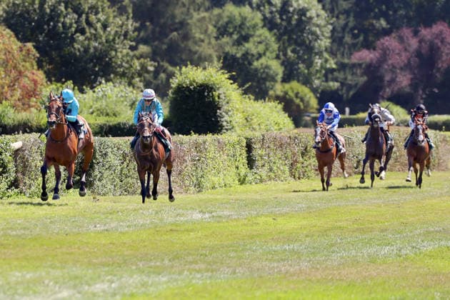 08.08.2026, Krefeld, Nordrhein-Westfalen, GER - Why Limit (links) mit Enzo Crublet gewinnt. Galopprennbahn Krefeld-Stadtwald. (Pferd, Jockey, Why Limit, Crublet, Sieg, Ziel, Zielankunft) 260808SG942KREFELD.JPG *** August 8, 2026, Krefeld, North Rhine-Westphalia, GER: Why Limit, ridden by Enzo Crublet, wins at the Krefeld Stadtwald Racetrack; horse, jockey, Why Limit, Crublet, victory, finish line, finish 260808SG942KREFELD JPG