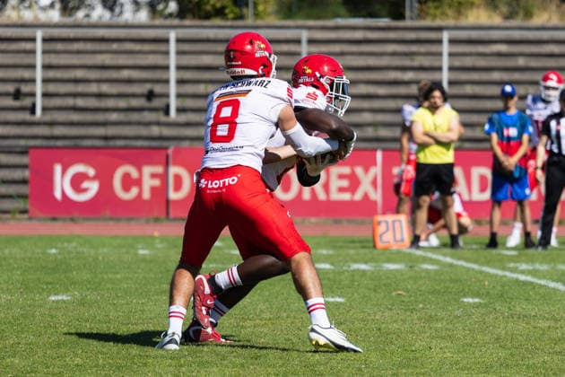 Hugh Harvey Düsseldorf Panther vs Potsdam Royals Hugh Harvey Quarterback 8 Düsseldorf Panther vs Potsdam Royals im Panther Stadion in Düsseldorf (Deutschland, Nordrhein Westfalen). American Football, 09. Spieltag der Effect Energy GFL Saison 2026. Endstand: 00:49 *** Hugh Harvey Düsseldorf Panthers vs. Potsdam Royals Hugh Harvey, quarterback 8, Düsseldorf Panthers vs. Potsdam Royals at Panther Stadium in Düsseldorf, Germany, North Rhine-Westphalia; American football; Week 9 of the 2026 Effect Energy GFL season; Final score: 0–49