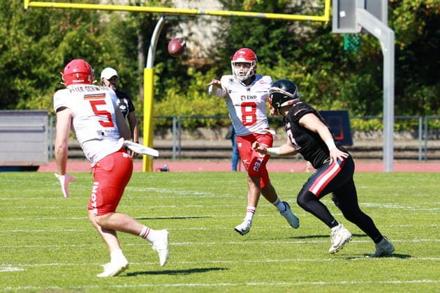 Hugh Harvey (Potsdam Royals, 8) passes the ball, Düsseldorf Panther vs Potsdam Royals, American Football, GFL, German Football League, Season 2026, Week 14, 08.08.2026, Photo: PFA Klaus Sack Düsseldorf Stadion VfL Benrath NRW Deutschland Copyright: xFootxBowl KlausxSackx