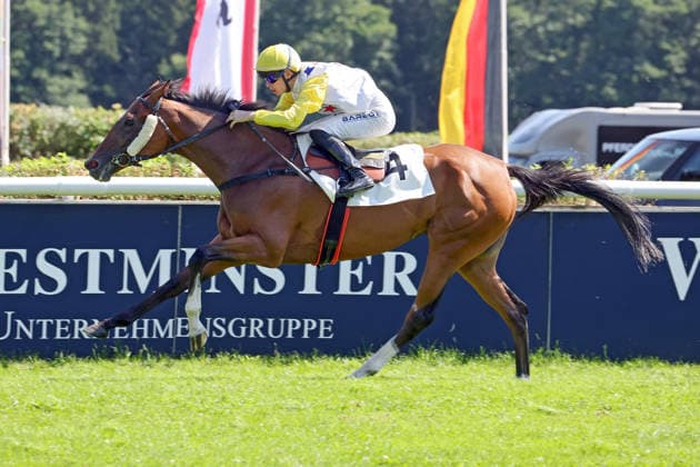 09.08.2026, Hoppegarten, Brandenburg, GER - Full of Hope mit Benjain Marie gewinnt. Galopprennbahn Hoppegarten. () 260809D706HOPPEGARTEN.JPG *** August 9, 2026, Hoppegarten, Brandenburg, GER Full of Hope, ridden by Benjain Marie, wins at Hoppegarten Racetrack 260809D706HOPPEGARTEN JPG