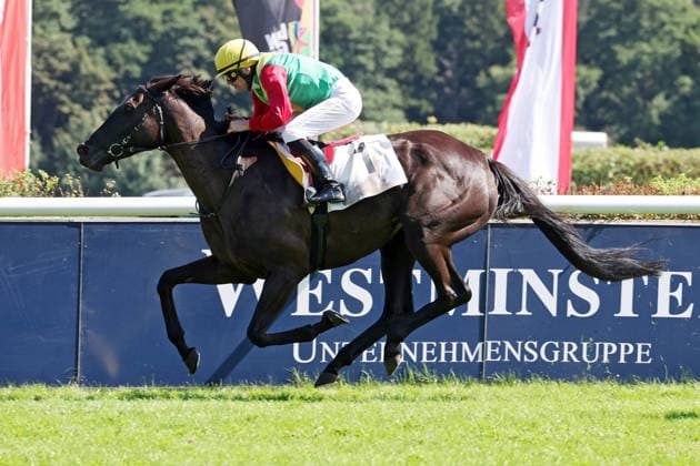09.08.2026, Hoppegarten, Brandenburg, GER - Nastaria mit Jozef Bojko gewinnt. Galopprennbahn Hoppegarten. () 260809D710HOPPEGARTEN.JPG *** August 9, 2026, Hoppegarten, Brandenburg, GER: Nastaria, ridden by Jozef Bojko, wins at the Hoppegarten Racetrack 260809D710HOPPEGARTEN JPG