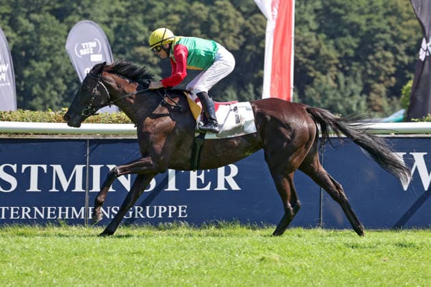 09.08.2026, Hoppegarten, Brandenburg, GER - Nastaria mit Jozef Bojko gewinnt. Galopprennbahn Hoppegarten. () 260809D710HOPPEGARTEN.JPG *** August 9, 2026, Hoppegarten, Brandenburg, GER: Nastaria, ridden by Jozef Bojko, wins at the Hoppegarten Racetrack 260809D710HOPPEGARTEN JPG