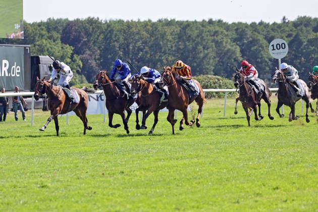 09.08.2026, Hoppegarten, Brandenburg, GER - Tiffany mit Luke Morris gewinnt den 136. Grossen Preis von Berlin. Galopprennbahn Hoppegarten. () 260809D717HOPPEGARTEN.JPG *** August 9, 2026, Hoppegarten, Brandenburg, GER Tiffany, ridden by Luke Morris, wins the 136th Berlin Grand Prix at the Hoppegarten Racetrack 260809D717HOPPEGARTEN JPG