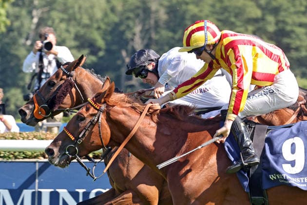 09.08.2026, Hoppegarten, Brandenburg, GER - Tiffany mit Luke Morris gewinnt den 136. Grossen Preis von Berlin. Galopprennbahn Hoppegarten. () 260809D717HOPPEGARTEN.JPG *** August 9, 2026, Hoppegarten, Brandenburg, GER Tiffany, ridden by Luke Morris, wins the 136th Berlin Grand Prix at the Hoppegarten Racetrack 260809D717HOPPEGARTEN JPG