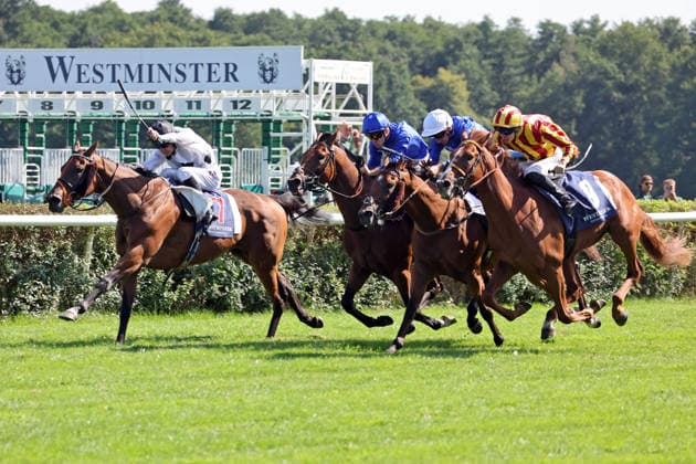 09.08.2026, Hoppegarten, Brandenburg, GER - Tiffany mit Luke Morris gewinnt den 136. Grossen Preis von Berlin. Galopprennbahn Hoppegarten. () 260809D717HOPPEGARTEN.JPG *** August 9, 2026, Hoppegarten, Brandenburg, GER Tiffany, ridden by Luke Morris, wins the 136th Berlin Grand Prix at the Hoppegarten Racetrack 260809D717HOPPEGARTEN JPG