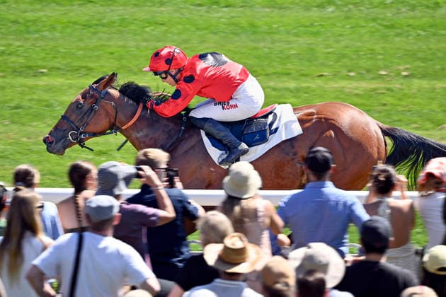 09.08.2026, Hoppegarten, Brandenburg, GER - Pershing mit Sibylle Vogt gewinnt. Galopprennbahn Hoppegarten. () 260809C490HOPPEGARTEN.JPG *** August 9, 2026, Hoppegarten, Brandenburg, GER Pershing, ridden by Sibylle Vogt, wins at the Hoppegarten Racetrack 260809C490HOPPEGARTEN JPG