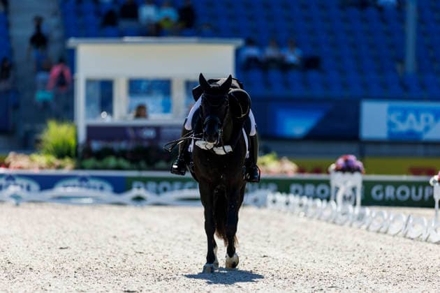 AACHEN - FEI World Championships 2026, AACHEN - FEI World Championships 2026 SIMONCIC Felicita (AUT), Four Legends FEI Dressage World Championship, WM, Weltmeisterschaft Grand Prix de Dressage 1st Part Team Finale & Einzelqualifikation Lambertz-Preis Aachen, Reitstadion Soers 11. August 2026 - *** 2026 FEI World Championships in Aachen, AACHEN FEI World Championships 2026 SIMONCIC Felicita AUT, Four Legends FEI Dressage World Championship Grand Prix de Dressage, Part 1: Team Final, Individual Qualification, Lambertz Prize Aachen, Soers Equestrian Stadium, August 11, 2026