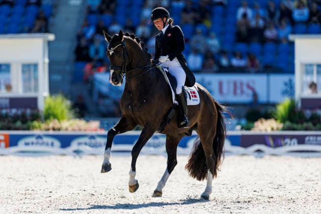 AACHEN - FEI World Championships 2026, AACHEN - FEI World Championships 2026 SLOTH Nadja Aaboe (DEN), Favour Gersdorf FEI Dressage World Championship, WM, Weltmeisterschaft Grand Prix de Dressage 1st Part Team Finale & Einzelqualifikation Lambertz-Preis Aachen, Reitstadion Soers 11. August 2026 - *** 2026 FEI World Championships in Aachen, Aachen FEI World Championships 2026: Nadja Aaboe (DEN), Favor Gersdorf FEI Dressage World Championship Grand Prix de Dressage, Part 1: Team Final, Individual Qualification, Lambertz Prize Aachen, Soers Equestrian Stadium, August 11, 2026