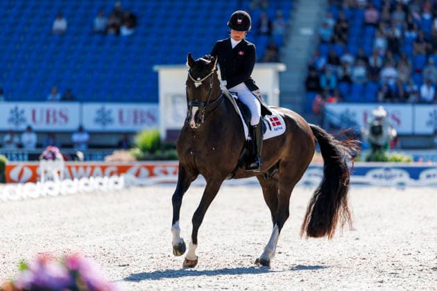 AACHEN - FEI World Championships 2026, AACHEN - FEI World Championships 2026 SLOTH Nadja Aaboe (DEN), Favour Gersdorf FEI Dressage World Championship, WM, Weltmeisterschaft Grand Prix de Dressage 1st Part Team Finale & Einzelqualifikation Lambertz-Preis Aachen, Reitstadion Soers 11. August 2026 - *** 2026 FEI World Championships in Aachen, Aachen FEI World Championships 2026: Nadja Aaboe (DEN), Favor Gersdorf FEI Dressage World Championship Grand Prix de Dressage, Part 1: Team Final, Individual Qualification, Lambertz Prize Aachen, Soers Equestrian Stadium, August 11, 2026