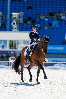 AACHEN - FEI World Championships 2026, AACHEN - FEI World Championships 2026 WEGGELAAR Rowena (NED), Don Quichot FEI Dressage World Championship, WM, Weltmeisterschaft Grand Prix de Dressage 1st Part Team Finale & Einzelqualifikation Lambertz-Preis Aachen, Reitstadion Soers 11. August 2026 - *** 2026 FEI World Championships in Aachen, AACHEN FEI World Championships 2026 WEGGELAAR Rowena NED, Don Quichot FEI Dressage World Championship Grand Prix de Dressage, Part 1: Team Final, Individual Qualifier, Lambertz Prize Aachen, Soers Equestrian Stadium, August 11, 2026