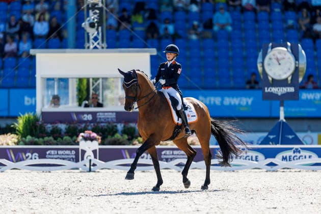 AACHEN - FEI World Championships 2026, AACHEN - FEI World Championships 2026 WEGGELAAR Rowena (NED), Don Quichot FEI Dressage World Championship, WM, Weltmeisterschaft Grand Prix de Dressage 1st Part Team Finale & Einzelqualifikation Lambertz-Preis Aachen, Reitstadion Soers 11. August 2026 - *** 2026 FEI World Championships in Aachen, AACHEN FEI World Championships 2026 WEGGELAAR Rowena NED, Don Quichot FEI Dressage World Championship Grand Prix de Dressage, Part 1: Team Final, Individual Qualifier, Lambertz Prize Aachen, Soers Equestrian Stadium, August 11, 2026