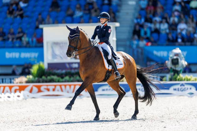 AACHEN - FEI World Championships 2026, AACHEN - FEI World Championships 2026 WEGGELAAR Rowena (NED), Don Quichot FEI Dressage World Championship, WM, Weltmeisterschaft Grand Prix de Dressage 1st Part Team Finale & Einzelqualifikation Lambertz-Preis Aachen, Reitstadion Soers 11. August 2026 - *** 2026 FEI World Championships in Aachen, AACHEN FEI World Championships 2026 WEGGELAAR Rowena NED, Don Quichot FEI Dressage World Championship Grand Prix de Dressage, Part 1: Team Final, Individual Qualifier, Lambertz Prize Aachen, Soers Equestrian Stadium, August 11, 2026