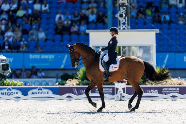 AACHEN - FEI World Championships 2026, AACHEN - FEI World Championships 2026 WEGGELAAR Rowena (NED), Don Quichot FEI Dressage World Championship, WM, Weltmeisterschaft Grand Prix de Dressage 1st Part Team Finale & Einzelqualifikation Lambertz-Preis Aachen, Reitstadion Soers 11. August 2026 - *** 2026 FEI World Championships in Aachen, AACHEN FEI World Championships 2026 WEGGELAAR Rowena NED, Don Quichot FEI Dressage World Championship Grand Prix de Dressage, Part 1: Team Final, Individual Qualifier, Lambertz Prize Aachen, Soers Equestrian Stadium, August 11, 2026