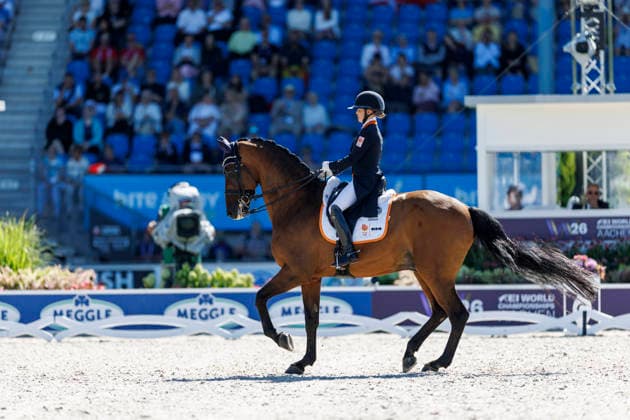 AACHEN - FEI World Championships 2026, AACHEN - FEI World Championships 2026 WEGGELAAR Rowena (NED), Don Quichot FEI Dressage World Championship, WM, Weltmeisterschaft Grand Prix de Dressage 1st Part Team Finale & Einzelqualifikation Lambertz-Preis Aachen, Reitstadion Soers 11. August 2026 - *** 2026 FEI World Championships in Aachen, AACHEN FEI World Championships 2026 WEGGELAAR Rowena NED, Don Quichot FEI Dressage World Championship Grand Prix de Dressage, Part 1: Team Final, Individual Qualifier, Lambertz Prize Aachen, Soers Equestrian Stadium, August 11, 2026