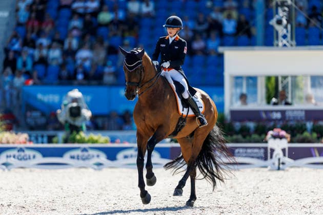 AACHEN - FEI World Championships 2026, AACHEN - FEI World Championships 2026 WEGGELAAR Rowena (NED), Don Quichot FEI Dressage World Championship, WM, Weltmeisterschaft Grand Prix de Dressage 1st Part Team Finale & Einzelqualifikation Lambertz-Preis Aachen, Reitstadion Soers 11. August 2026 - *** 2026 FEI World Championships in Aachen, AACHEN FEI World Championships 2026 WEGGELAAR Rowena NED, Don Quichot FEI Dressage World Championship Grand Prix de Dressage, Part 1: Team Final, Individual Qualifier, Lambertz Prize Aachen, Soers Equestrian Stadium, August 11, 2026