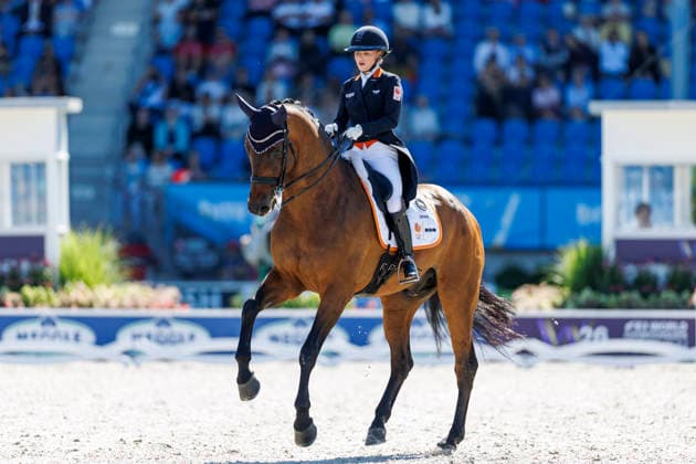 AACHEN - FEI World Championships 2026, AACHEN - FEI World Championships 2026 WEGGELAAR Rowena (NED), Don Quichot FEI Dressage World Championship, WM, Weltmeisterschaft Grand Prix de Dressage 1st Part Team Finale & Einzelqualifikation Lambertz-Preis Aachen, Reitstadion Soers 11. August 2026 - *** 2026 FEI World Championships in Aachen, AACHEN FEI World Championships 2026 WEGGELAAR Rowena NED, Don Quichot FEI Dressage World Championship Grand Prix de Dressage, Part 1: Team Final, Individual Qualifier, Lambertz Prize Aachen, Soers Equestrian Stadium, August 11, 2026