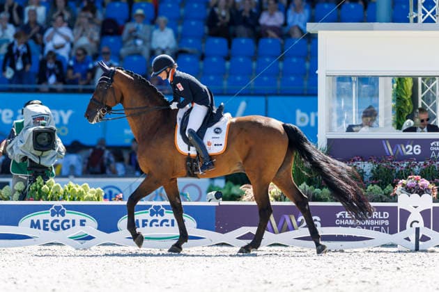 AACHEN - FEI World Championships 2026, AACHEN - FEI World Championships 2026 WEGGELAAR Rowena (NED), Don Quichot FEI Dressage World Championship, WM, Weltmeisterschaft Grand Prix de Dressage 1st Part Team Finale & Einzelqualifikation Lambertz-Preis Aachen, Reitstadion Soers 11. August 2026 - *** 2026 FEI World Championships in Aachen, AACHEN FEI World Championships 2026 WEGGELAAR Rowena NED, Don Quichot FEI Dressage World Championship Grand Prix de Dressage, Part 1: Team Final, Individual Qualifier, Lambertz Prize Aachen, Soers Equestrian Stadium, August 11, 2026