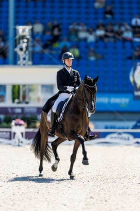 AACHEN - FEI World Championships 2026, AACHEN - FEI World Championships 2026 NETZ Raphael (GER), Great Escape Camelot FEI Dressage World Championship, WM, Weltmeisterschaft Grand Prix de Dressage 1st Part Team Finale & Einzelqualifikation Lambertz-Preis Aachen, Reitstadion Soers 11. August 2026 - *** 2026 FEI World Championships in Aachen, AACHEN FEI World Championships 2026 NETZ Raphael GER, Great Escape Camelot FEI Dressage World Championship Grand Prix de Dressage Part 1 Team Final Individual Qualifier Lambertz Prize Aachen, Soers Equestrian Stadium, August 11, 2026