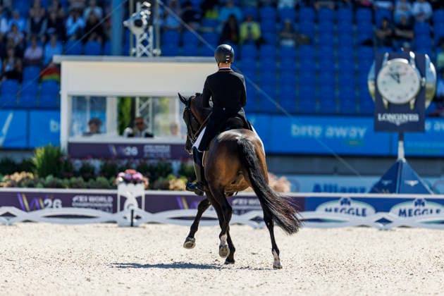 AACHEN - FEI World Championships 2026, AACHEN - FEI World Championships 2026 NETZ Raphael (GER), Great Escape Camelot FEI Dressage World Championship, WM, Weltmeisterschaft Grand Prix de Dressage 1st Part Team Finale & Einzelqualifikation Lambertz-Preis Aachen, Reitstadion Soers 11. August 2026 - *** 2026 FEI World Championships in Aachen, AACHEN FEI World Championships 2026 NETZ Raphael GER, Great Escape Camelot FEI Dressage World Championship Grand Prix de Dressage, Part 1: Team Final, Individual Qualification, Lambertz Prize Aachen, Soers Equestrian Stadium, August 11, 2026
