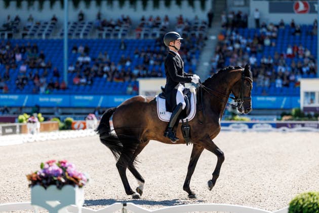 AACHEN - FEI World Championships 2026, AACHEN - FEI World Championships 2026 NETZ Raphael (GER), Great Escape Camelot FEI Dressage World Championship, WM, Weltmeisterschaft Grand Prix de Dressage 1st Part Team Finale & Einzelqualifikation Lambertz-Preis Aachen, Reitstadion Soers 11. August 2026 - *** 2026 FEI World Championships in Aachen, AACHEN FEI World Championships 2026 NETZ Raphael GER, Great Escape Camelot FEI Dressage World Championship Grand Prix de Dressage, Part 1: Team Final, Individual Qualification, Lambertz Prize Aachen, Soers Equestrian Stadium, August 11, 2026