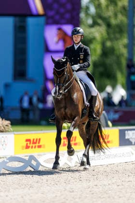 AACHEN - FEI World Championships 2026, AACHEN - FEI World Championships 2026 NETZ Raphael (GER), Great Escape Camelot FEI Dressage World Championship, WM, Weltmeisterschaft Grand Prix de Dressage 1st Part Team Finale & Einzelqualifikation Lambertz-Preis Aachen, Reitstadion Soers 11. August 2026 - *** 2026 FEI World Championships in Aachen, AACHEN FEI World Championships 2026 NETZ Raphael GER, Great Escape Camelot FEI Dressage World Championship Grand Prix de Dressage, Part 1: Team Final, Individual Qualification, Lambertz Prize Aachen, Soers Equestrian Stadium, August 11, 2026