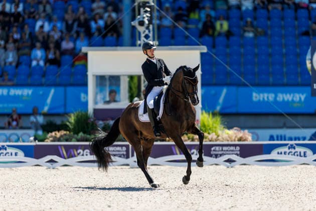 AACHEN - FEI World Championships 2026, AACHEN - FEI World Championships 2026 NETZ Raphael (GER), Great Escape Camelot FEI Dressage World Championship, WM, Weltmeisterschaft Grand Prix de Dressage 1st Part Team Finale & Einzelqualifikation Lambertz-Preis Aachen, Reitstadion Soers 11. August 2026 - *** 2026 FEI World Championships in Aachen, AACHEN FEI World Championships 2026 NETZ Raphael GER, Great Escape Camelot FEI Dressage World Championship Grand Prix de Dressage, Part 1: Team Final, Individual Qualification, Lambertz Prize Aachen, Soers Equestrian Stadium, August 11, 2026