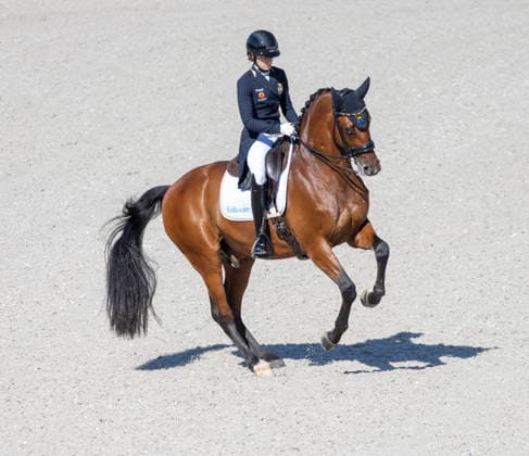 Aachen Rebecka MaluÃ on och Johnnie Walker i sin VM-premiär, här i Grand Prix. Ekipaget fick 68,71 procent. Photo Roland Thunholm Code: 718 35 ***BETALBILD*** Aachen Germany x71835x *** Aachen: Rebecka MaluÃ and Johnnie Walker in their World Championship debut, here at the Grand Prix. The pair scored 68.71 percent. Photo: Roland Thunholm Code 718 35 ***PAID IMAGE*** Aachen, Germany x71835x  Copyright: xRolandxThunholm ttx RYTTAR-VM DRESSYR