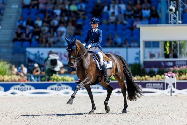 AACHEN - FEI World Championships 2026, AACHEN - FEI World Championships 2026 PEARCE Simone (AUS), Will Marq FEI Dressage World Championship, WM, Weltmeisterschaft Grand Prix de Dressage 1st Part Team Finale & Einzelqualifikation Lambertz-Preis Aachen, Reitstadion Soers 11. August 2026 - *** 2026 FEI World Championships in Aachen, Aachen FEI World Championships 2026: Simone Pearce (AUS), Will Marq – FEI Dressage World Championship Grand Prix de Dressage, Part 1: Team Final, Individual Qualification, Lambertz Prize Aachen, Soers Equestrian Stadium, August 11, 2026