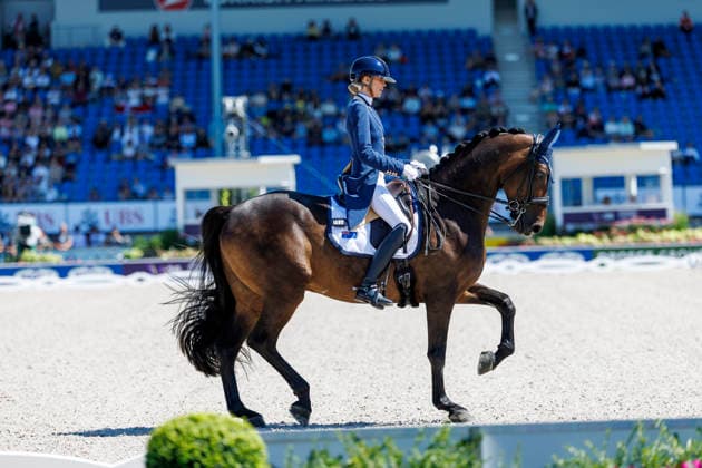 AACHEN - FEI World Championships 2026, AACHEN - FEI World Championships 2026 PEARCE Simone (AUS), Will Marq FEI Dressage World Championship, WM, Weltmeisterschaft Grand Prix de Dressage 1st Part Team Finale & Einzelqualifikation Lambertz-Preis Aachen, Reitstadion Soers 11. August 2026 - *** 2026 FEI World Championships in Aachen, Aachen FEI World Championships 2026: Simone Pearce (AUS), Will Marq – FEI Dressage World Championship Grand Prix de Dressage, Part 1: Team Final, Individual Qualification, Lambertz Prize Aachen, Soers Equestrian Stadium, August 11, 2026