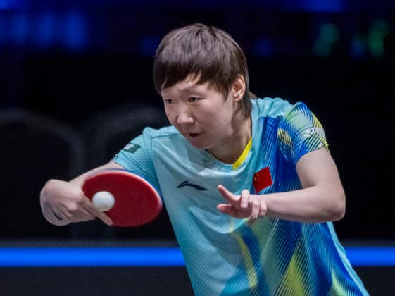 MALMÖ 2026-08-11 Manyo Wang from China in a match against Dina Meshref from Egypt during the first round of the women s singles in the Table tennis, Tischtennis tournament Europe Smash Sweden 2026 at Malmö Arena in Malmö, Sweden, on August 11, 2026. MALMÖ SWEDEN ttexport x50090x *** MALMÖ, August 11, 2026 — Manyo Wang of China in a match against Dina Meshref of Egypt during the first round of the women’s singles at the Europe Smash Sweden 2026 table tennis tournament at Malmö Arena in Malmö, Sweden, on August 11, 2026 MALMÖ SWEDEN ttexport x50090x  Copyright: xJohanxNilssonx xTTx EUROPE SMASH SWEDEN 2026