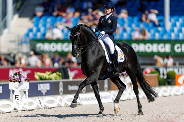 AACHEN - FEI World Championships 2026, AACHEN - FEI World Championships 2026 NILSHAGEN Therese (SWE), Navarro FEI Dressage World Championship, WM, Weltmeisterschaft Grand Prix de Dressage 1st Part Team Finale & Einzelqualifikation Lambertz-Preis Aachen, Reitstadion Soers 11. August 2026 - *** 2026 FEI World Championships in Aachen, Aachen FEI World Championships 2026 Therese Nilshagen (SWE), Navarro FEI Dressage World Championship Grand Prix de Dressage, Part 1: Team Final, Individual Qualification, Lambertz Prize Aachen, Soers Equestrian Stadium, August 11, 2026