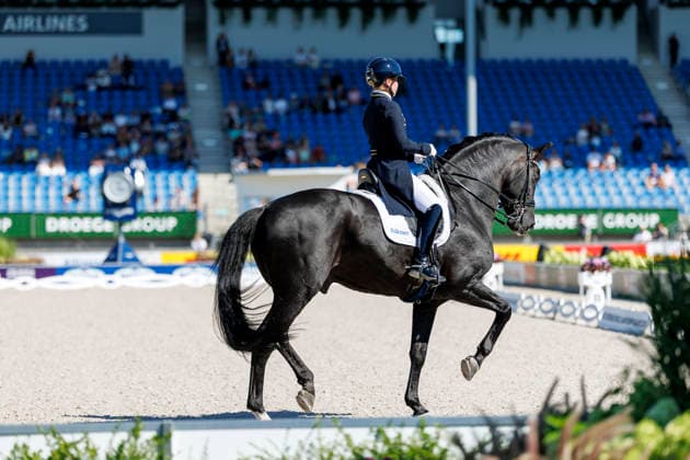 AACHEN - FEI World Championships 2026, AACHEN - FEI World Championships 2026 NILSHAGEN Therese (SWE), Navarro FEI Dressage World Championship, WM, Weltmeisterschaft Grand Prix de Dressage 1st Part Team Finale & Einzelqualifikation Lambertz-Preis Aachen, Reitstadion Soers 11. August 2026 - *** 2026 FEI World Championships in Aachen, Aachen FEI World Championships 2026 Therese Nilshagen (SWE), Navarro FEI Dressage World Championship Grand Prix de Dressage, Part 1: Team Final, Individual Qualification, Lambertz Prize Aachen, Soers Equestrian Stadium, August 11, 2026