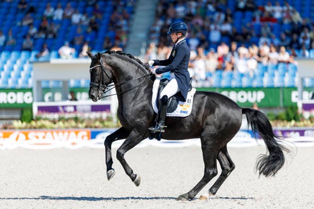 AACHEN - FEI World Championships 2026, AACHEN - FEI World Championships 2026 NILSHAGEN Therese (SWE), Navarro FEI Dressage World Championship, WM, Weltmeisterschaft Grand Prix de Dressage 1st Part Team Finale & Einzelqualifikation Lambertz-Preis Aachen, Reitstadion Soers 11. August 2026 - *** 2026 FEI World Championships in Aachen, Aachen FEI World Championships 2026 Therese Nilshagen (SWE), Navarro FEI Dressage World Championship Grand Prix de Dressage, Part 1: Team Final, Individual Qualification, Lambertz Prize Aachen, Soers Equestrian Stadium, August 11, 2026