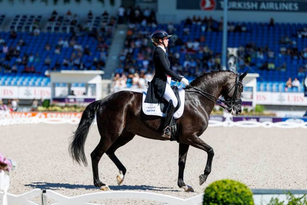 AACHEN - FEI World Championships 2026, AACHEN - FEI World Championships 2026 KRUETH Carina Cassoe (DEN), Heiline s Danciera FEI Dressage World Championship, WM, Weltmeisterschaft Grand Prix de Dressage 1st Part Team Finale & Einzelqualifikation Lambertz-Preis Aachen, Reitstadion Soers 11. August 2026 - *** 2026 FEI World Championships in Aachen, AACHEN FEI World Championships 2026 KRUETH Carina Cassoe DEN, Heiline’s Danciera FEI Dressage World Championship Grand Prix de Dressage, Part 1: Team Final, Individual Qualification, Lambertz Prize Aachen, Soers Equestrian Stadium, August 11, 2026