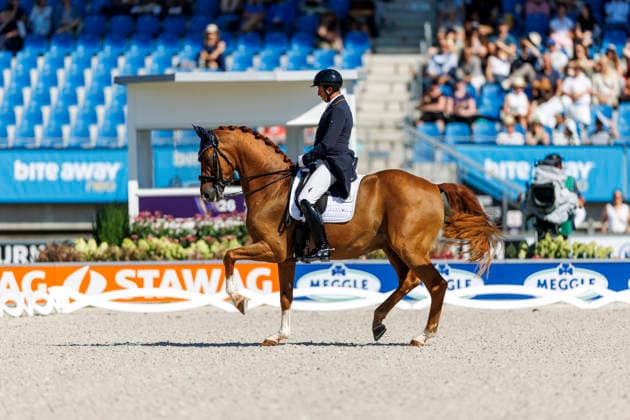 AACHEN - FEI World Championships 2026, AACHEN - FEI World Championships 2026 MENDOZA LOOR Julio (ECU), Jewel s Goldstrike FEI Dressage World Championship, WM, Weltmeisterschaft Grand Prix de Dressage 1st Part Team Finale & Einzelqualifikation Lambertz-Preis Aachen, Reitstadion Soers 11. August 2026 - *** 2026 FEI World Championships in Aachen, AACHEN FEI World Championships 2026 MENDOZA LOOR Julio ECU, Jewel’s Goldstrike FEI Dressage World Championship Grand Prix de Dressage, Part 1: Team Final, Individual Qualification, Lambertz Prize Aachen, Soers Equestrian Stadium, August 11, 2026
