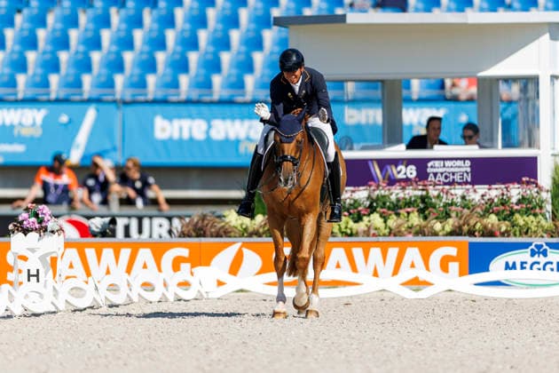 AACHEN - FEI World Championships 2026, AACHEN - FEI World Championships 2026 MENDOZA LOOR Julio (ECU), Jewel s Goldstrike FEI Dressage World Championship, WM, Weltmeisterschaft Grand Prix de Dressage 1st Part Team Finale & Einzelqualifikation Lambertz-Preis Aachen, Reitstadion Soers 11. August 2026 - *** 2026 FEI World Championships in Aachen, AACHEN FEI World Championships 2026 MENDOZA LOOR Julio ECU, Jewel’s Goldstrike FEI Dressage World Championship Grand Prix de Dressage, Part 1: Team Final, Individual Qualification, Lambertz Prize Aachen, Soers Equestrian Stadium, August 11, 2026