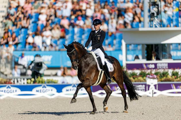 AACHEN - FEI World Championships 2026, AACHEN - FEI World Championships 2026 WANDRES Frederic (GER), Bluetooth Old FEI Dressage World Championship, WM, Weltmeisterschaft Grand Prix de Dressage 1st Part Team Finale & Einzelqualifikation Lambertz-Preis Aachen, Reitstadion Soers 11. August 2026 - *** 2026 FEI World Championships in Aachen, AACHEN FEI World Championships 2026: Frederic WANDRES (GER) on Bluetooth Old – FEI Dressage World Championship Grand Prix de Dressage, Part 1: Team Final, Individual Qualifier, Lambertz Prize Aachen, Soers Equestrian Stadium, August 11, 2026