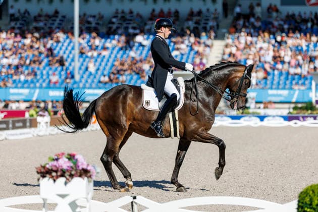 AACHEN - FEI World Championships 2026, AACHEN - FEI World Championships 2026 WANDRES Frederic (GER), Bluetooth Old FEI Dressage World Championship, WM, Weltmeisterschaft Grand Prix de Dressage 1st Part Team Finale & Einzelqualifikation Lambertz-Preis Aachen, Reitstadion Soers 11. August 2026 - *** 2026 FEI World Championships in Aachen, AACHEN FEI World Championships 2026: Frederic WANDRES (GER) on Bluetooth Old – FEI Dressage World Championship Grand Prix de Dressage, Part 1: Team Final, Individual Qualifier, Lambertz Prize Aachen, Soers Equestrian Stadium, August 11, 2026