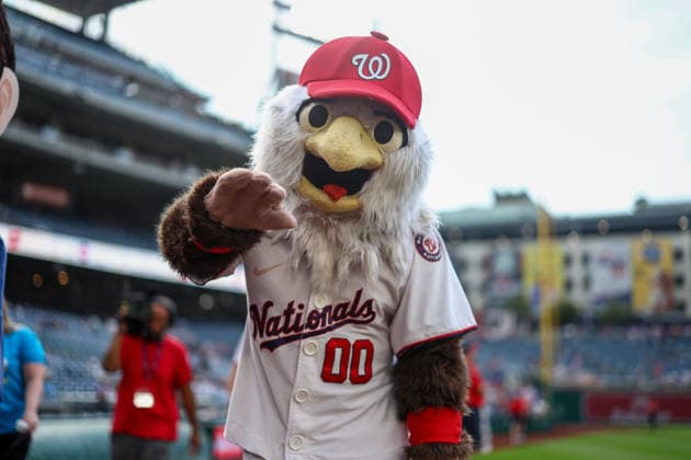 August 11, 2026, Washington D.C, District Of Columbia, United States: Washington, DC; Washington Nationals mascot, Screech, waves to the camera before the Major League Baseball game between the Washington Nationals and the Chicago Cubs at Nationals Park on Tuesday, August 11, 2026. The Cubs beat the Nationals 8-6. MLB, Baseball Herren, USA Chicago Cubs 8:6 Washington Nationals  - ZUMAp258 20260811_znp_p258_017 Copyright: xStevexPrakopex