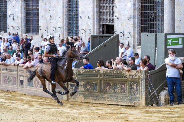 August 12, 2026, Siena, Toscana, Italy: The traditional night trials of the Palio di Siena, now called regulated trials, take place at dawn in Piazza del Campo and serve to evaluate the horses for the race. Siena, 12 08 2026 Palio Di Siena, The Regulated Trials At Dawn In Piazza Del Campo  - ZUMAa289 20260812_zia_a289_004 Copyright: xSalvatorexDexRosax xAgfx