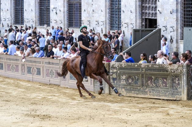 August 12, 2026, Siena, Toscana, Italy: The traditional night trials of the Palio di Siena, now called regulated trials, take place at dawn in Piazza del Campo and serve to evaluate the horses for the race. Siena, 12 08 2026 Palio Di Siena, The Regulated Trials At Dawn In Piazza Del Campo  - ZUMAa289 20260812_zia_a289_010 Copyright: xSalvatorexDexRosax xAgfx