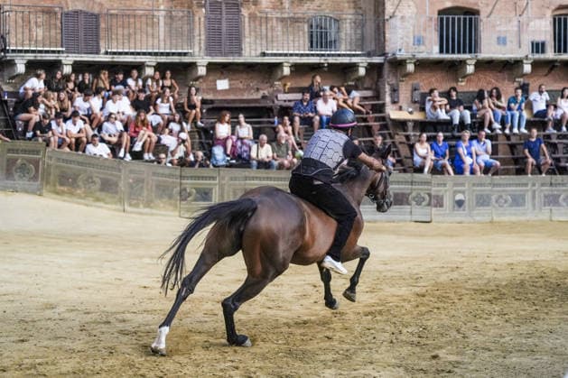 August 12, 2026, Siena, Toscana, Italy: The traditional night trials of the Palio di Siena, now called regulated trials, take place at dawn in Piazza del Campo and serve to evaluate the horses for the race. Siena, 12 08 2026 Palio Di Siena, The Regulated Trials At Dawn In Piazza Del Campo  - ZUMAa289 20260812_zia_a289_017 Copyright: xSalvatorexDexRosax xAgfx