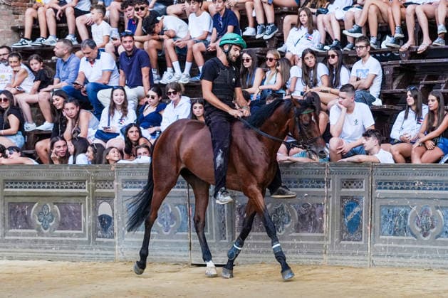 August 12, 2026, Siena, Toscana, Italy: The traditional night trials of the Palio di Siena, now called regulated trials, take place at dawn in Piazza del Campo and serve to evaluate the horses for the race. Siena, 12 08 2026 Palio Di Siena, The Regulated Trials At Dawn In Piazza Del Campo  - ZUMAa289 20260812_zia_a289_028 Copyright: xSalvatorexDexRosax xAgfx