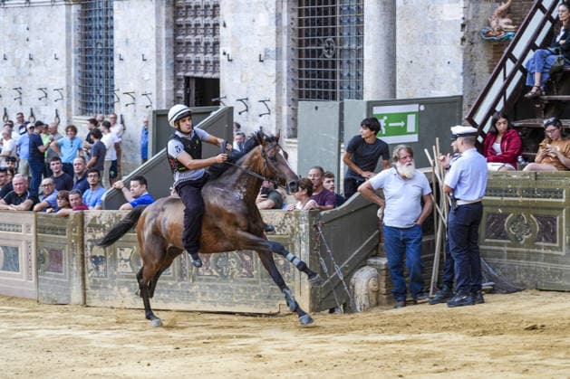 August 12, 2026, Siena, Toscana, Italy: The traditional night trials of the Palio di Siena, now called regulated trials, take place at dawn in Piazza del Campo and serve to evaluate the horses for the race. Siena, 12 08 2026 Palio Di Siena, The Regulated Trials At Dawn In Piazza Del Campo  - ZUMAa289 20260812_zia_a289_032 Copyright: xSalvatorexDexRosax xAgfx