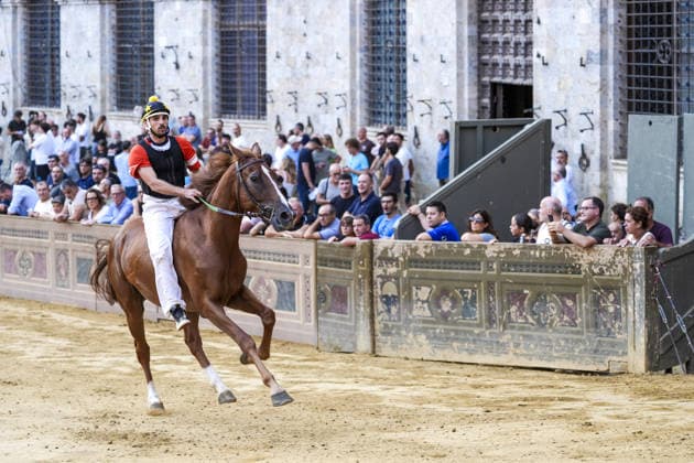 August 12, 2026, Siena, Toscana, Italy: The traditional night trials of the Palio di Siena, now called regulated trials, take place at dawn in Piazza del Campo and serve to evaluate the horses for the race. Siena, 12 08 2026 Palio Di Siena, The Regulated Trials At Dawn In Piazza Del Campo  - ZUMAa289 20260812_zia_a289_033 Copyright: xSalvatorexDexRosax xAgfx