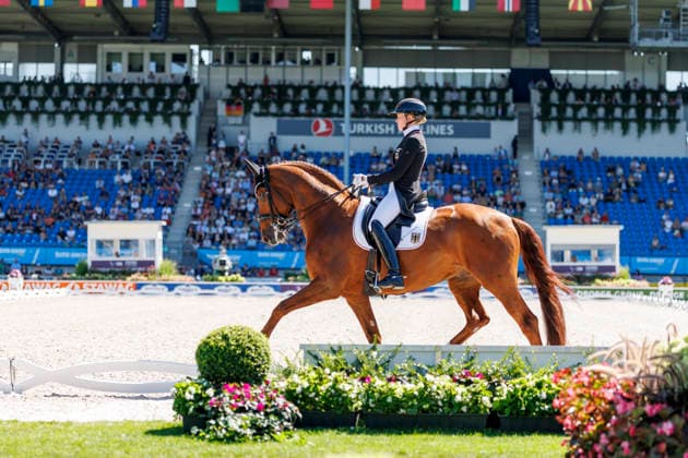 AACHEN - FEI World Championships 2026, AACHEN - FEI World Championships 2026 HEMMER Katharina (GER), Denoix PCH FEI Dressage World Championship, WM, Weltmeisterschaft Grand Prix de Dressage Team Finale & Einzelqualifikation Lambertz-Preis Aachen, Reitstadion Soers 12. August 2026 - *** AACHEN FEI World Championships 2026, AACHEN FEI World Championships 2026 Katharina Hemmer (GER), Denoix (PCH) FEI Dressage World Championship Grand Prix de Dressage Team Final Individual Qualifier Lambertz Prize Aachen, Soers Equestrian Stadium, August 12, 2026