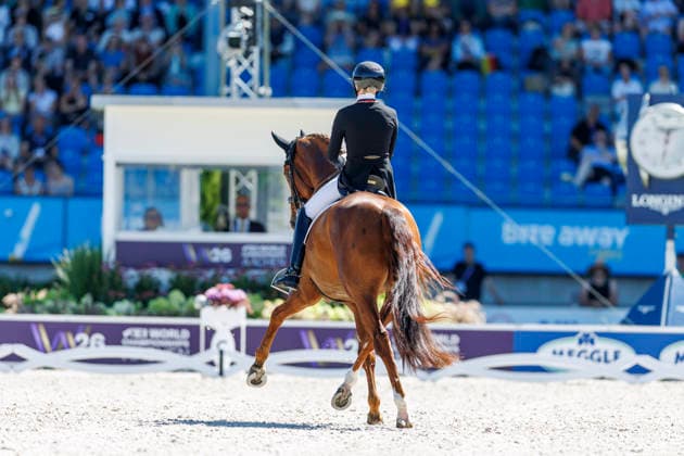 AACHEN - FEI World Championships 2026, AACHEN - FEI World Championships 2026 HEMMER Katharina (GER), Denoix PCH FEI Dressage World Championship, WM, Weltmeisterschaft Grand Prix de Dressage Team Finale & Einzelqualifikation Lambertz-Preis Aachen, Reitstadion Soers 12. August 2026 - *** AACHEN FEI World Championships 2026, AACHEN FEI World Championships 2026 Katharina Hemmer (GER), Denoix (PCH) FEI Dressage World Championship Grand Prix de Dressage Team Final Individual Qualifier Lambertz Prize Aachen, Soers Equestrian Stadium, August 12, 2026