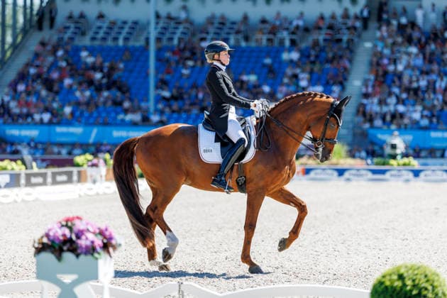 AACHEN - FEI World Championships 2026, AACHEN - FEI World Championships 2026 HEMMER Katharina (GER), Denoix PCH FEI Dressage World Championship, WM, Weltmeisterschaft Grand Prix de Dressage Team Finale & Einzelqualifikation Lambertz-Preis Aachen, Reitstadion Soers 12. August 2026 - *** AACHEN FEI World Championships 2026, AACHEN FEI World Championships 2026 Katharina Hemmer (GER), Denoix (PCH) FEI Dressage World Championship Grand Prix de Dressage Team Final Individual Qualifier Lambertz Prize Aachen, Soers Equestrian Stadium, August 12, 2026