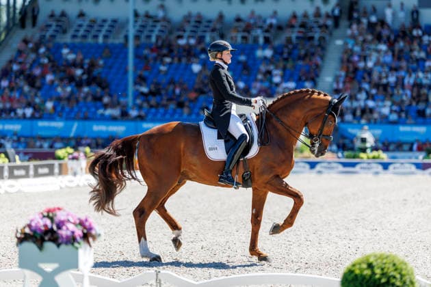 AACHEN - FEI World Championships 2026, AACHEN - FEI World Championships 2026 HEMMER Katharina (GER), Denoix PCH FEI Dressage World Championship, WM, Weltmeisterschaft Grand Prix de Dressage Team Finale & Einzelqualifikation Lambertz-Preis Aachen, Reitstadion Soers 12. August 2026 - *** AACHEN FEI World Championships 2026, AACHEN FEI World Championships 2026 Katharina Hemmer (GER), Denoix (PCH) FEI Dressage World Championship Grand Prix de Dressage Team Final Individual Qualifier Lambertz Prize Aachen, Soers Equestrian Stadium, August 12, 2026